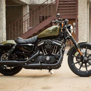 Harley davidson iron 883 HD wallpaper
