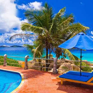 HD wallpaper nature summer