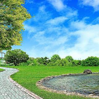 HD wallpaper nature summer