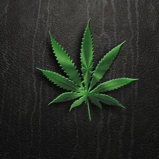 Marijuana wallpaper HD