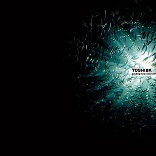 Toshiba wallpaper