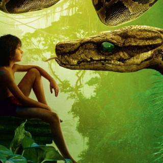 Mowgli wallpaper