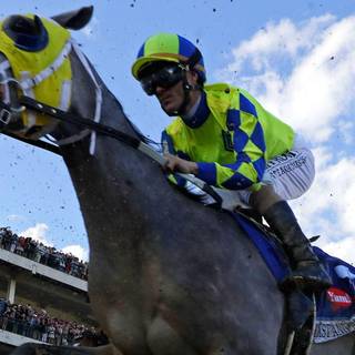 Triple Crown of Thoroughbred Racing wallpaper