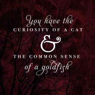 A Court of Thorns and Roses wallpaper