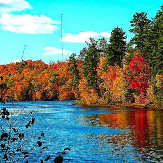 Latest natural wallpaper