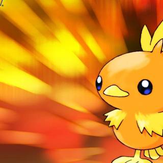 Torchic HD wallpaper
