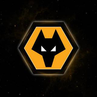 Wolverhampton Wanderers F.C. wallpaper