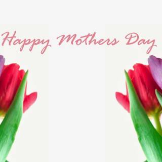 Feliz Día de la Madre wallpaper