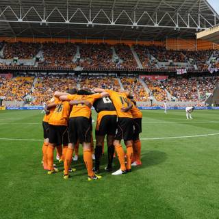 Wolverhampton Wanderers F.C. wallpaper