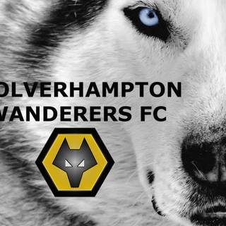 Wolverhampton Wanderers F.C. wallpaper