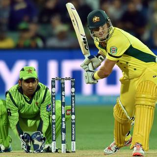 Shane Watson wallpaper