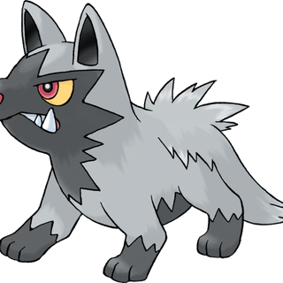 Poochyena HD wallpaper