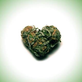 Maconha wallpaper HD