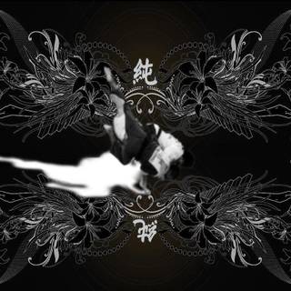 Wallpapers of Taekwondo