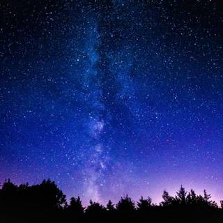 Rock stars wallpaper