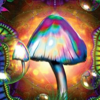 Psychedelic mushrooms wallpaper