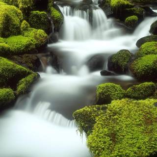 Full screen HD wallpaper for desktop