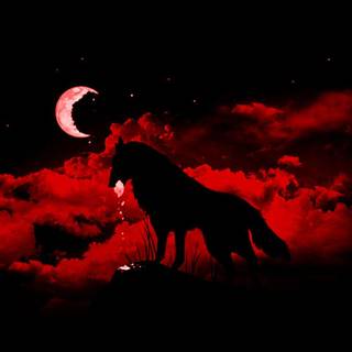 Red wolf wallpaper