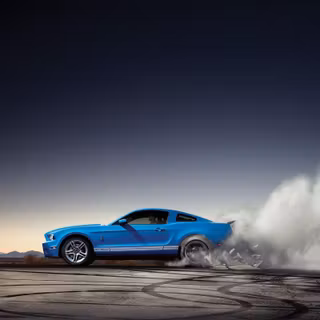 Shelby wallpaper