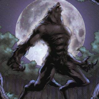 Werewolf wallpaper HD