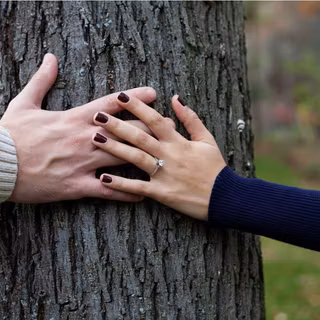 Lovable HD wallpaper