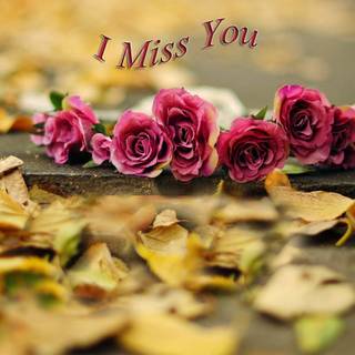 Miss u wallpaper tree dwnlod