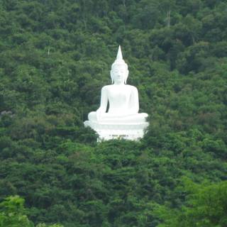 Siddhartha gautama buddha wallpaper