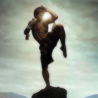 Tony jaa HD wallpaper