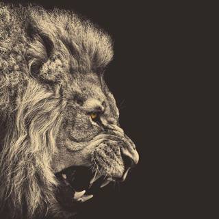 Meaningful images wallpaper