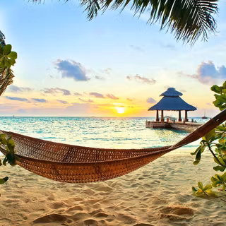 Paradise wallpaper