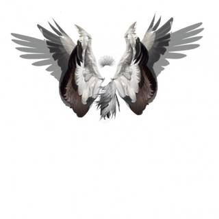 Alexander mcqueen desktop wallpaper