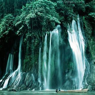 Alexander mcqueen desktop wallpaper