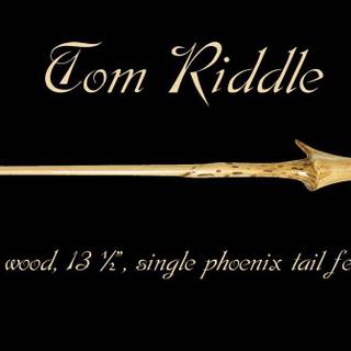 Tom riddle wallpaper