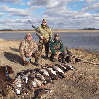 Goose hunting backgrounds