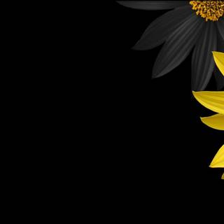 Full black background wallpaper