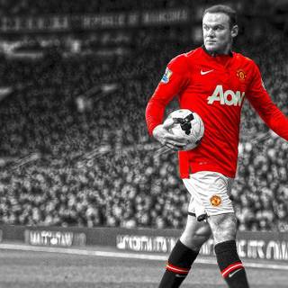 Rooney HD wallpaper