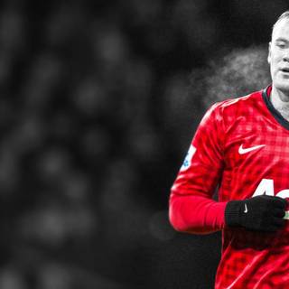 Rooney HD wallpaper