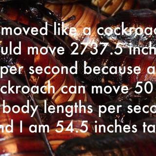 I am second wallpaper