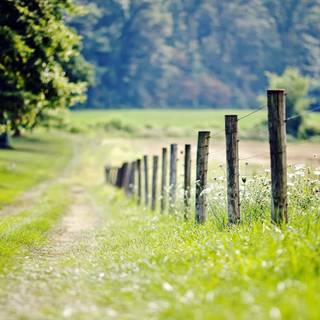 Nature background HD images