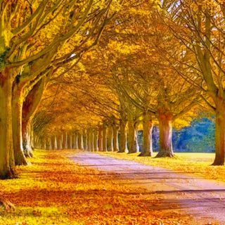 Nature background HD images