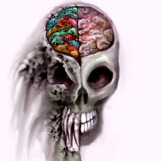 Left brain wallpaper