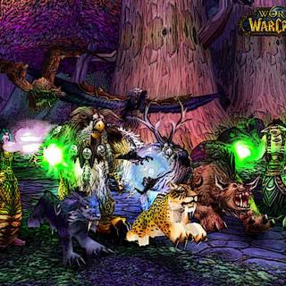 Feral druid wallpaper