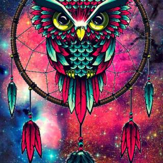 Owl tumblr wallpaper