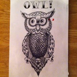 Owl tumblr wallpaper