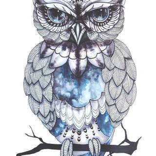 Owl tumblr wallpaper