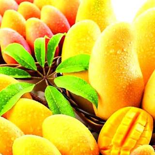 Mango wallpaper
