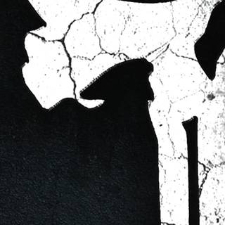 The punisher HD wallpaper