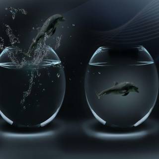 Amazing 3D wallpaper