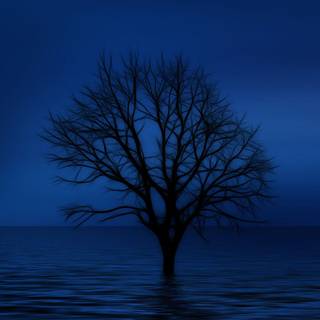 Samsung galaxy phone wallpaper