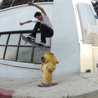 Skate grizzly diamond wallpaper